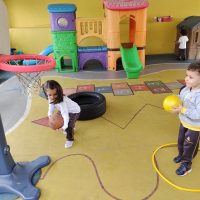 Escola patolândia - galeria 7