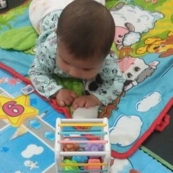 Foto-Patolandia-galeria 3