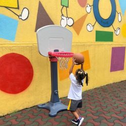 patolandia-galeria-3